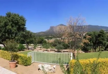 Dicieppo Αζάτσιο